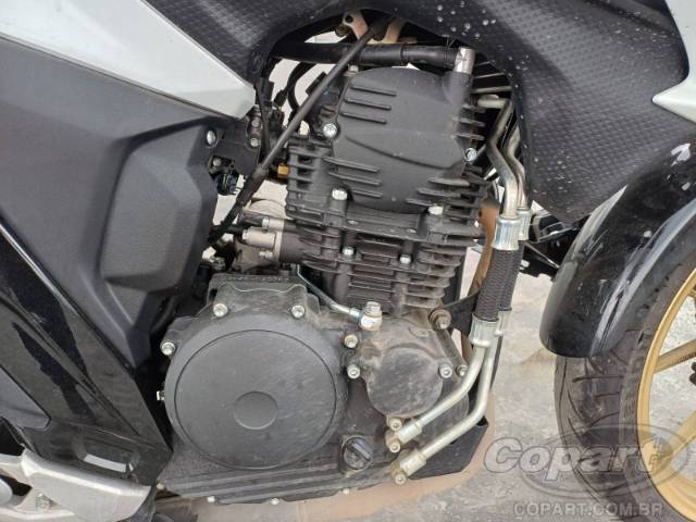 2025 YAMAHA FZ25 FAZER 