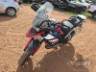 2024 TRIUMPH TIGER 