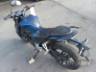 2025 HONDA CB 300F 