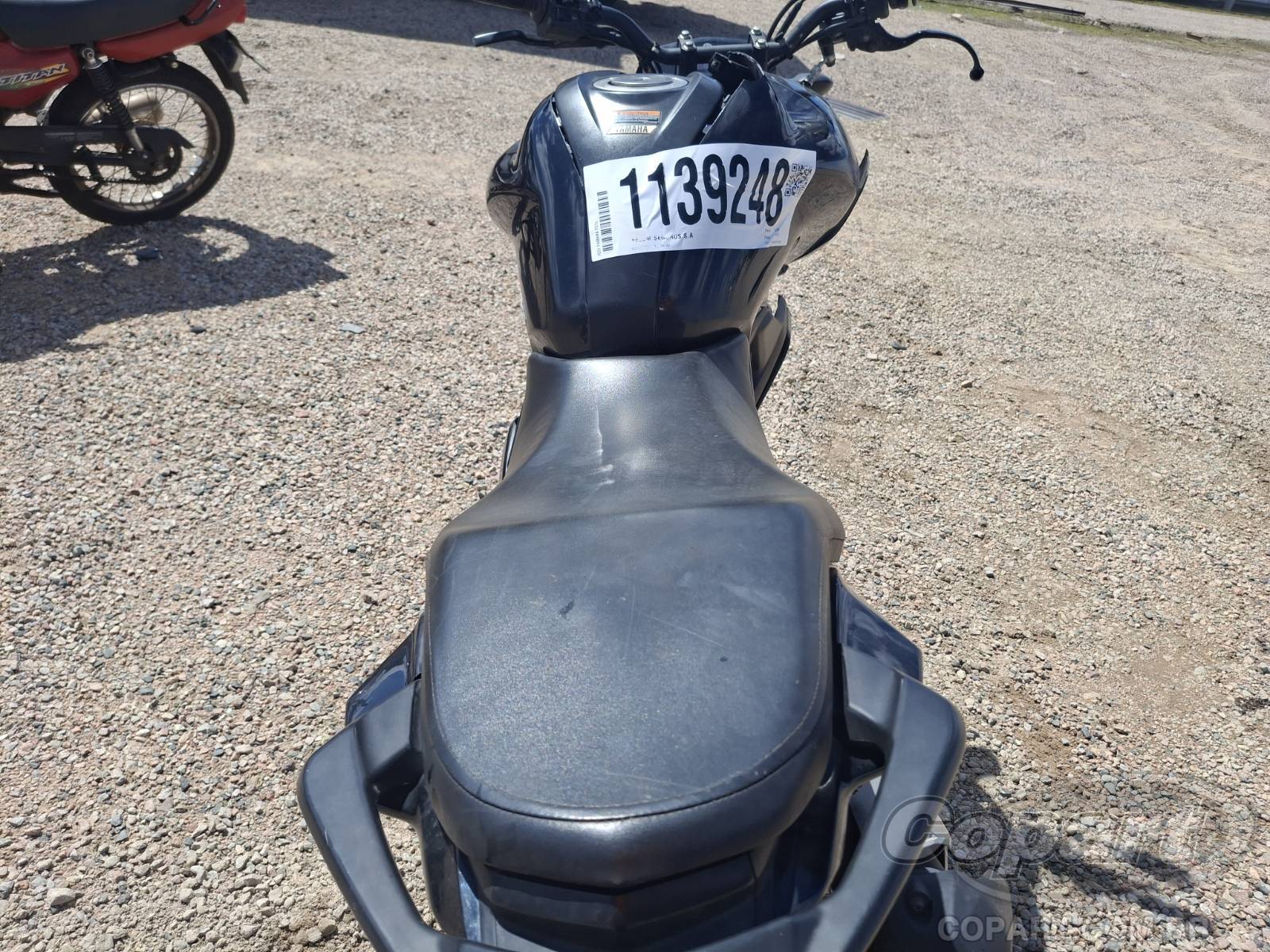 2024 YAMAHA FZ15 — foto 10 de 10