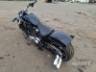 2019 HARLEY-DAVIDSON SOFTAIL 