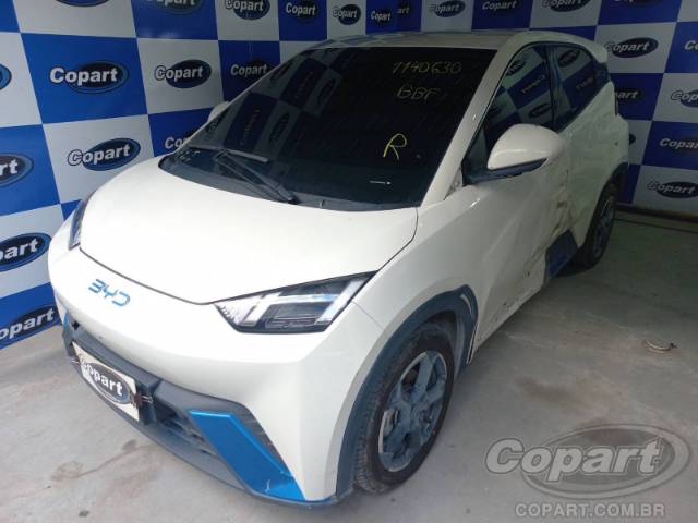2025 BYD DOLPHIN MINI 