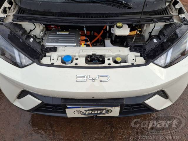 2026 BYD DOLPHIN MINI 