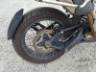 2024 TRIUMPH TIGER 