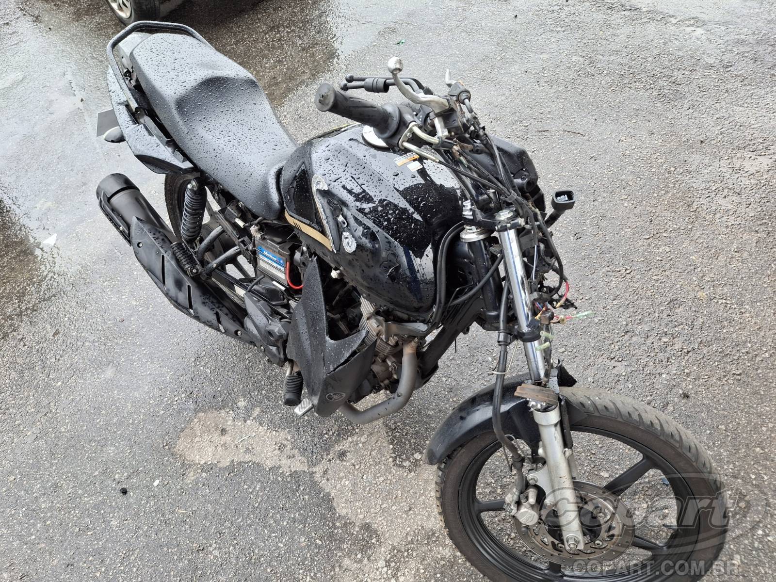 Yamaha YBR 150 Factor 2024