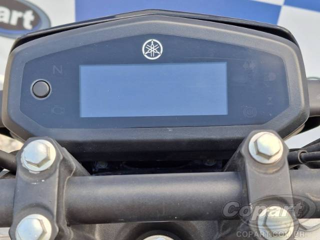 2024 YAMAHA FZ15 