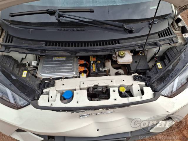 2025 BYD DOLPHIN MINI 