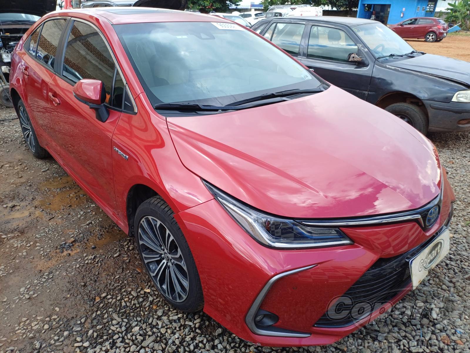 TOYOTA COROLLA 2023