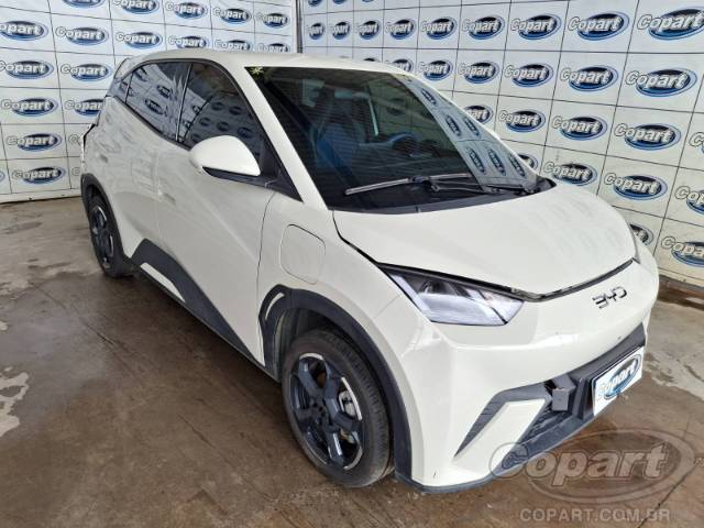 2025 BYD DOLPHIN MINI 