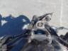 2019 TRIUMPH BONNEVILLE 