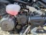 2026 TRIUMPH TIGER 