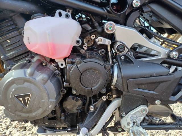 2026 TRIUMPH TIGER 