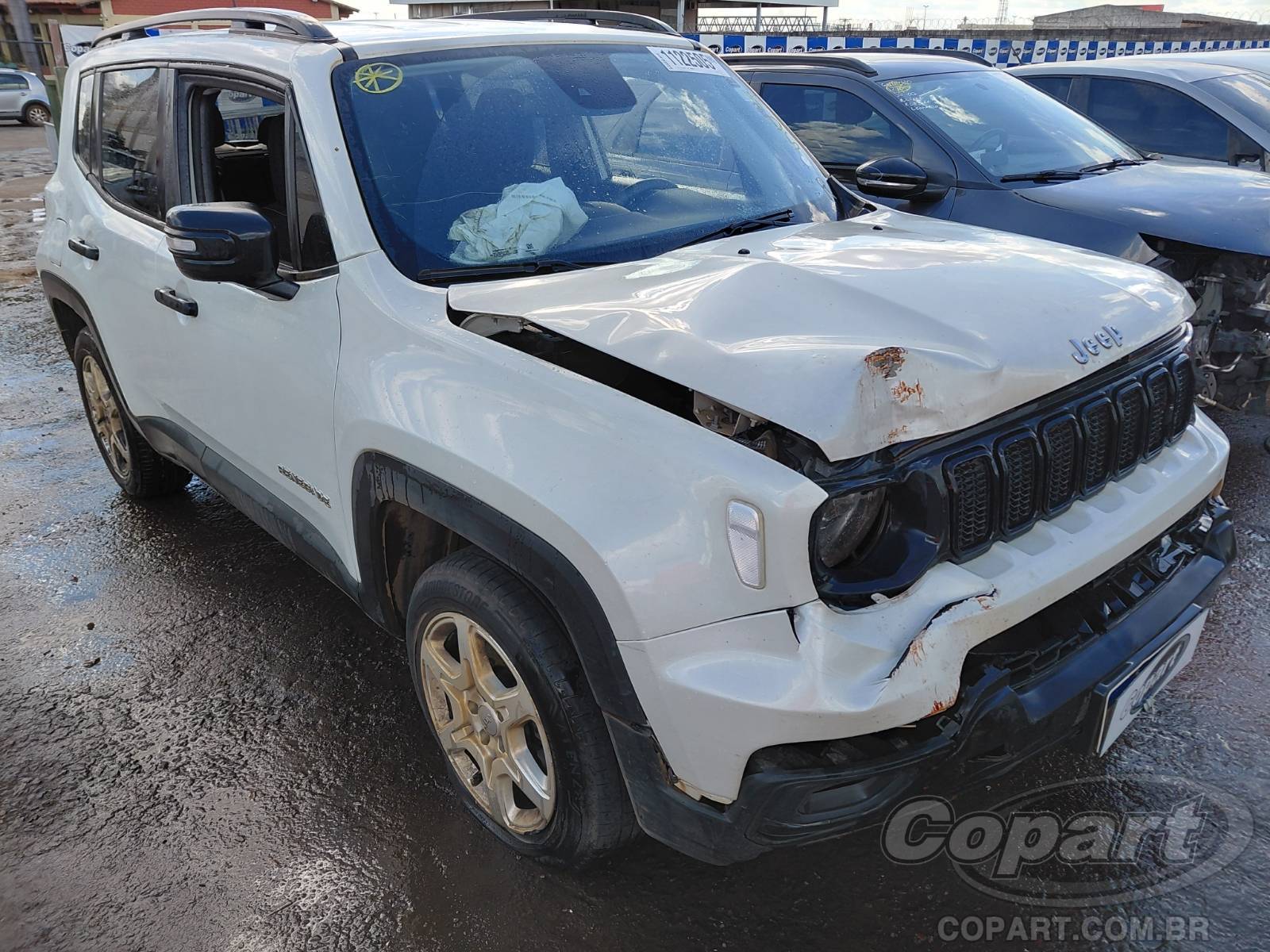 JEEP RENEGADE 2024