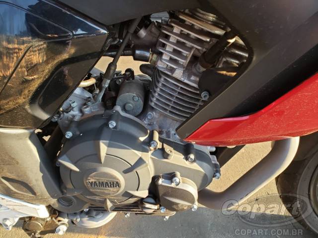 2024 YAMAHA FZ15 