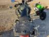 2023 TRIUMPH TIGER 