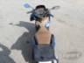 2024 HONDA PCX 