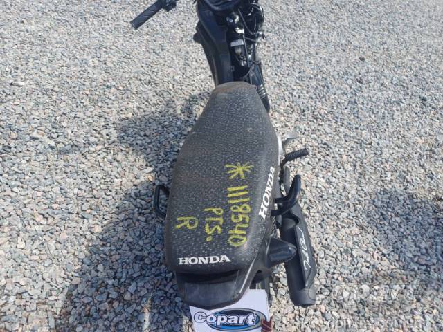 2025 HONDA POP 