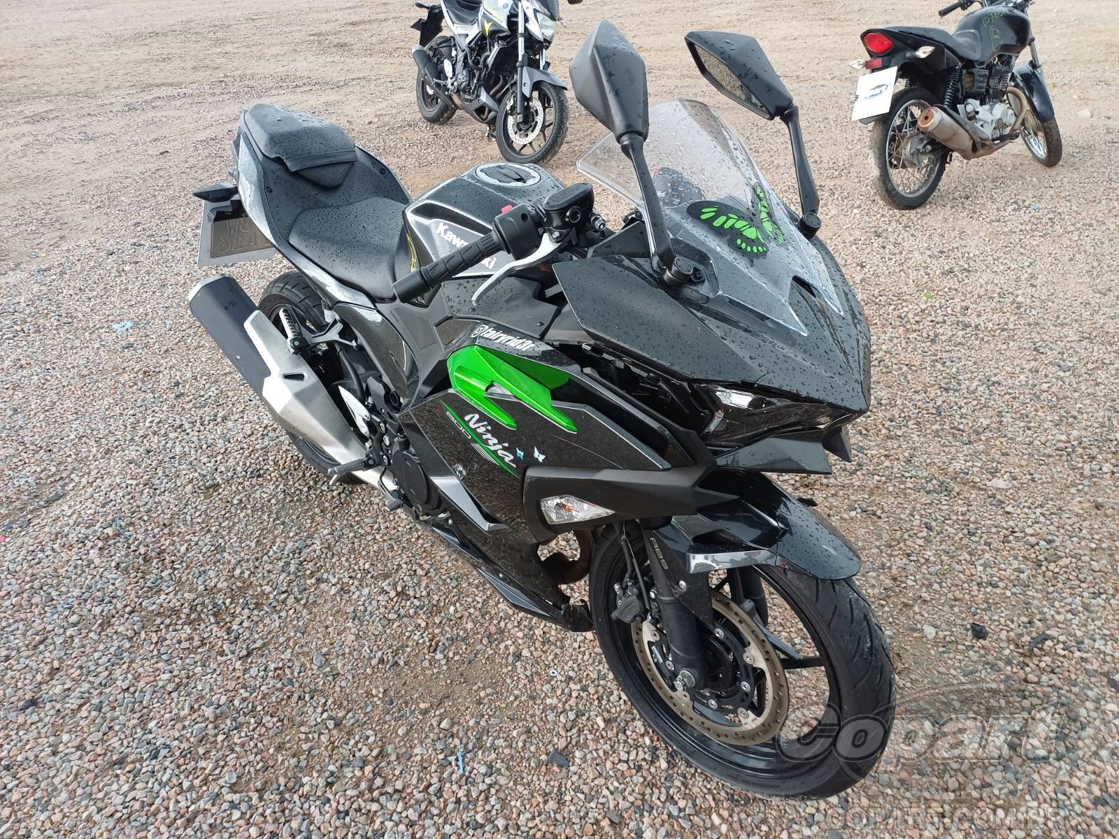 Kawasaki Ninja 500 2025