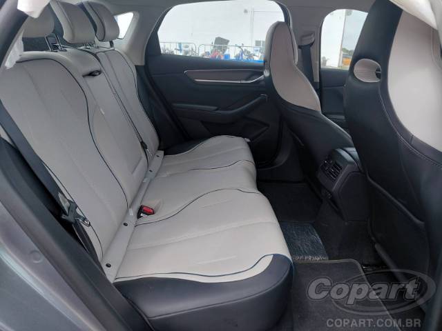 2025 BYD KING 