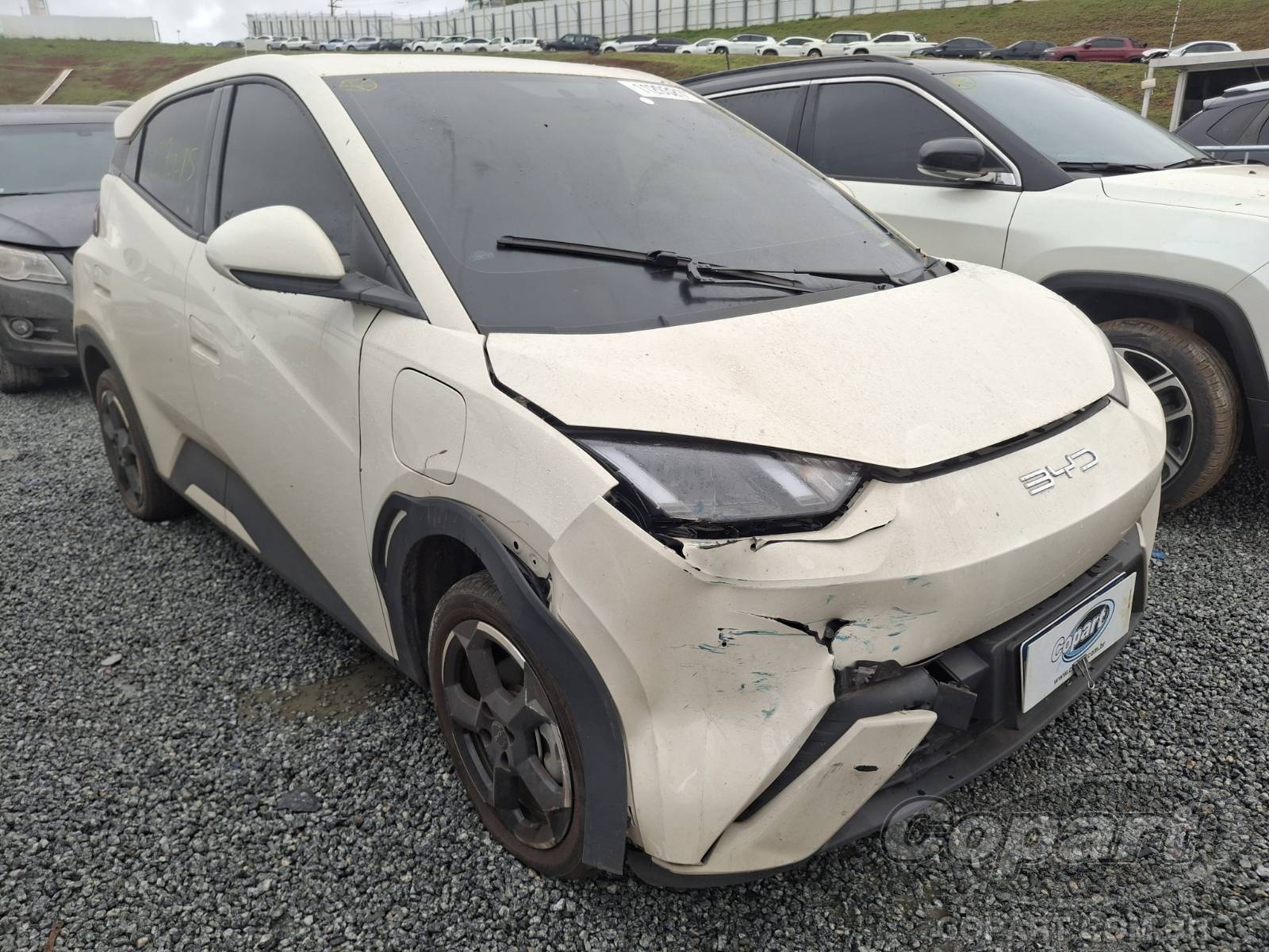 BYD Dolphin Mini 2024 55kW