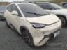 2024 BYD DOLPHIN MINI 
