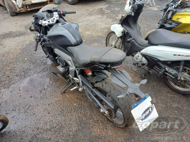 2024 TRIUMPH DAYTONA 