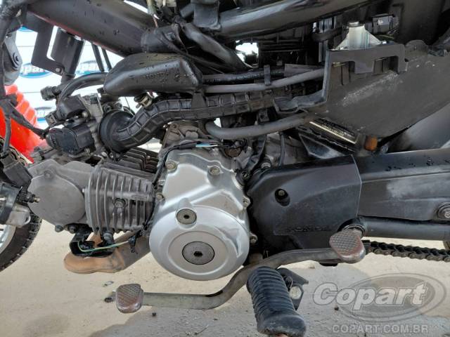 2025 HONDA POP 