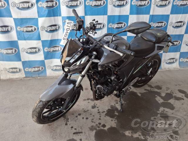 2025 YAMAHA FZ25 FAZER 