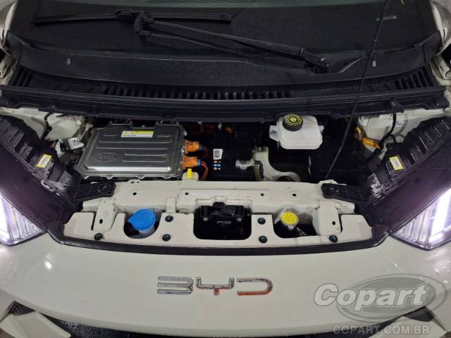 2025 BYD DOLPHIN MINI 