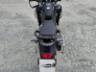 2024 TRIUMPH TIGER 
