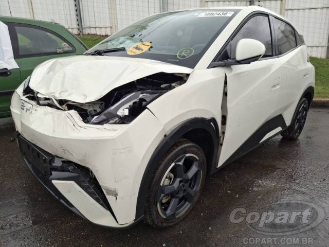 2025 BYD DOLPHIN MINI 