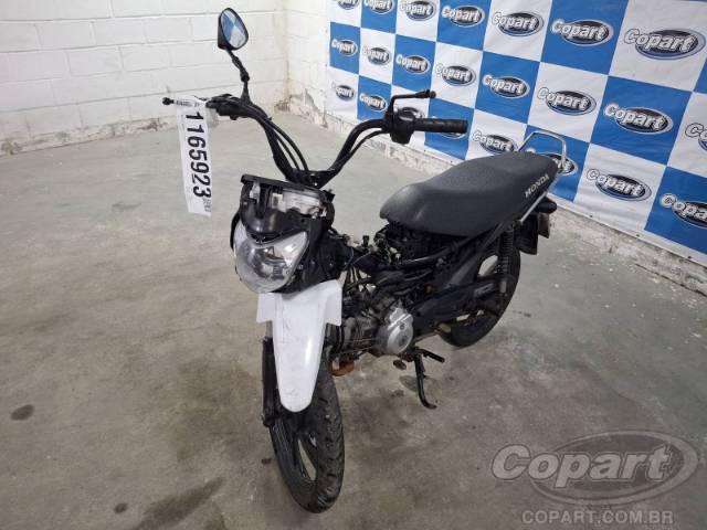2025 HONDA POP 