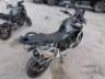 2024 TRIUMPH TIGER 