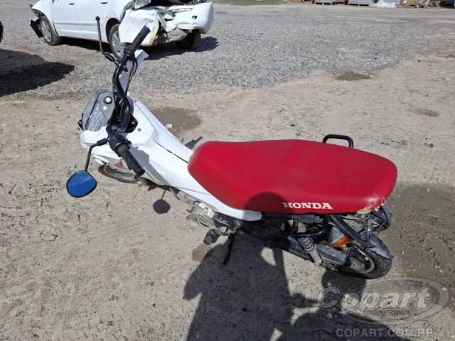 2024 HONDA POP 