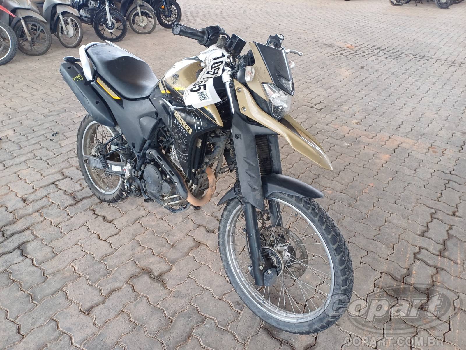 Yamaha XTZ 250 2024