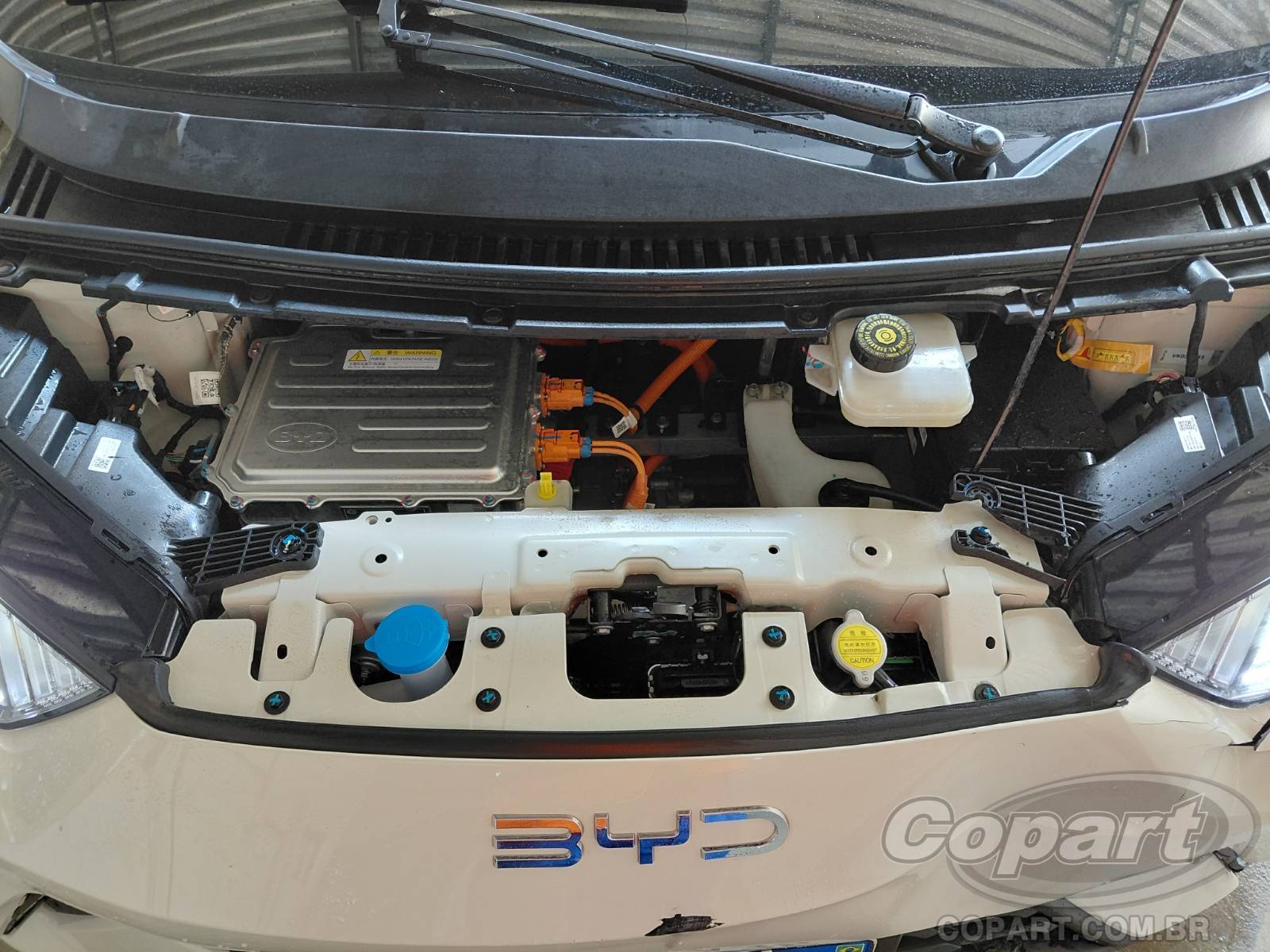 2027 BYD DOLPHIN MINI — foto 7 de 10