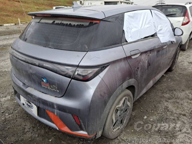 2024 BYD DOLPHIN 