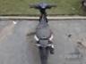 2026 HONDA BIZ 125 