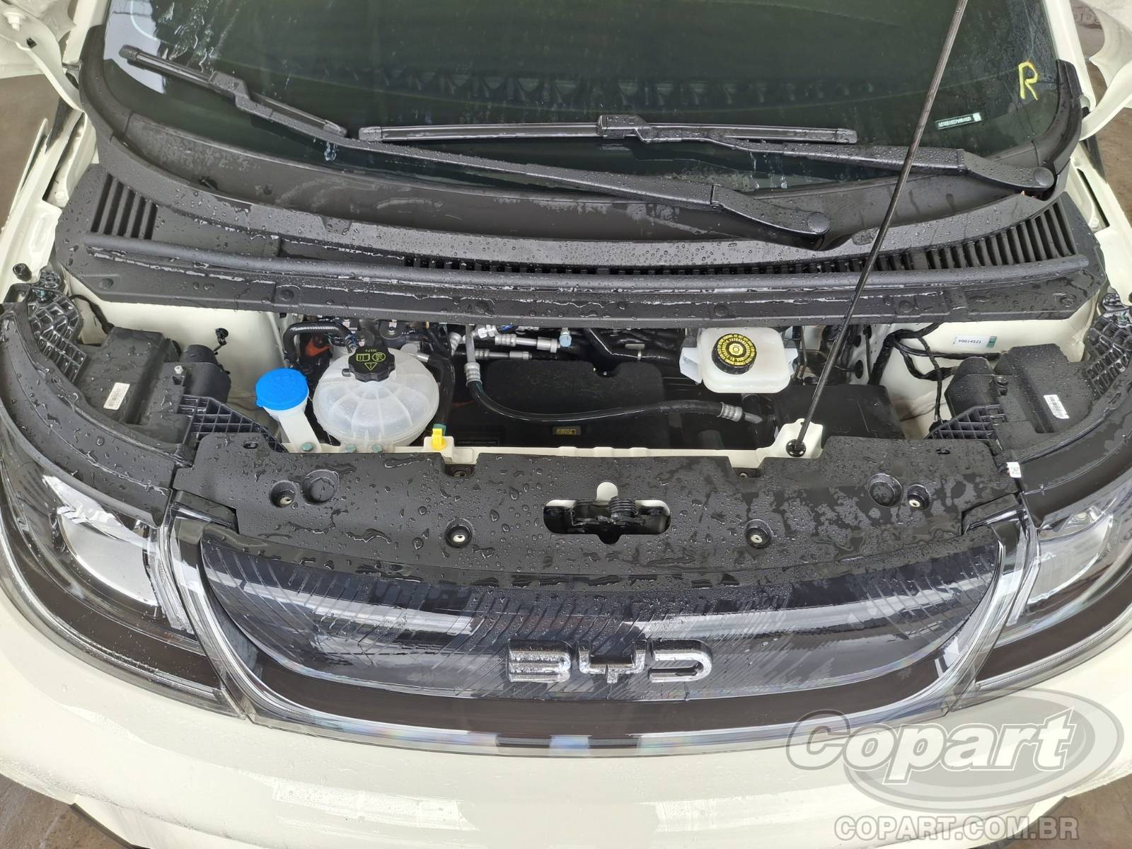2027 BYD DOLPHIN — foto 7 de 10
