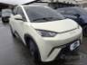 2025 BYD DOLPHIN MINI 