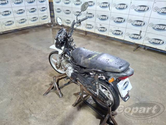 2023 HONDA POP 