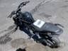 2026 HONDA CB 300F 