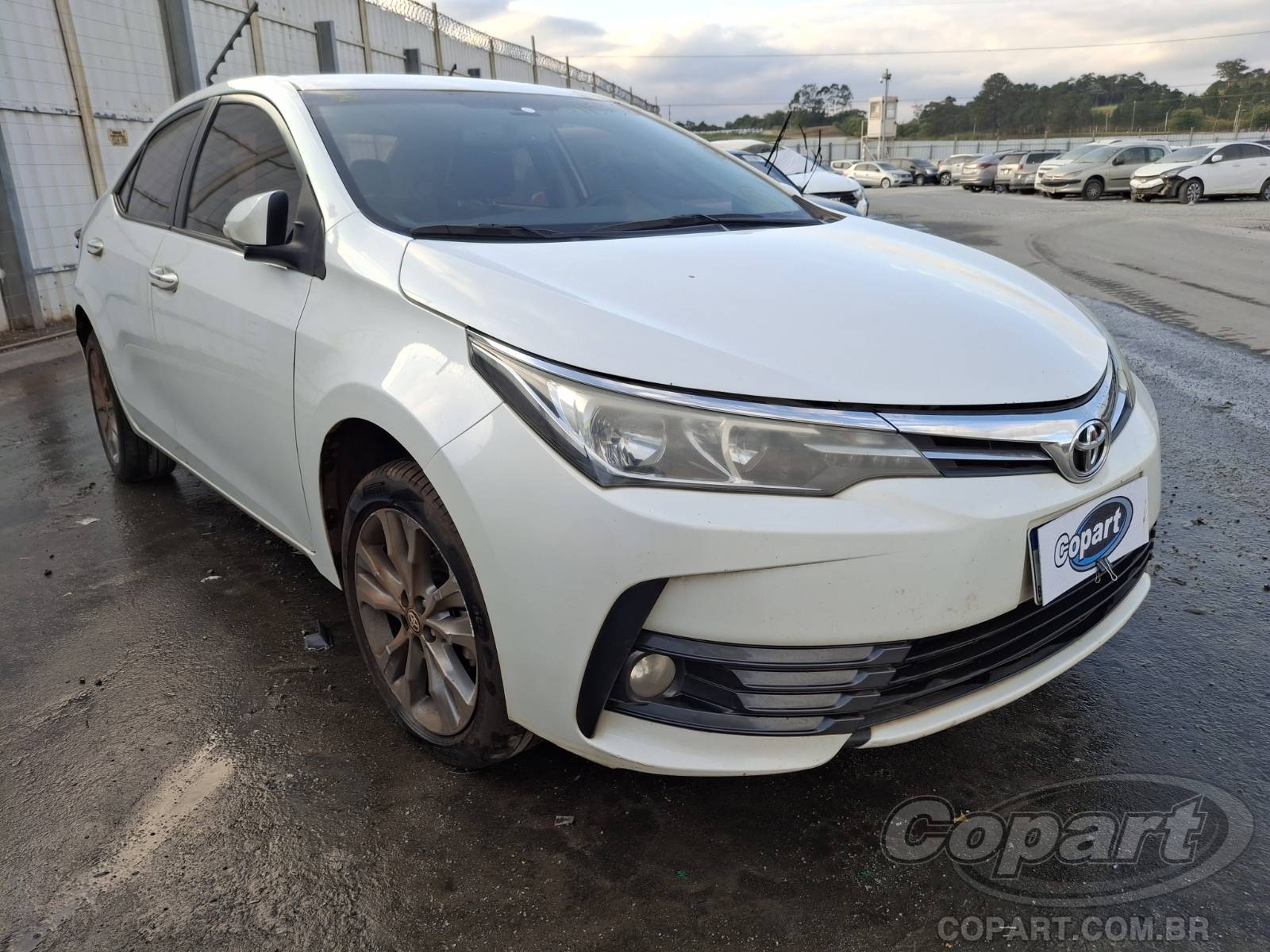 Toyota Corolla 2019