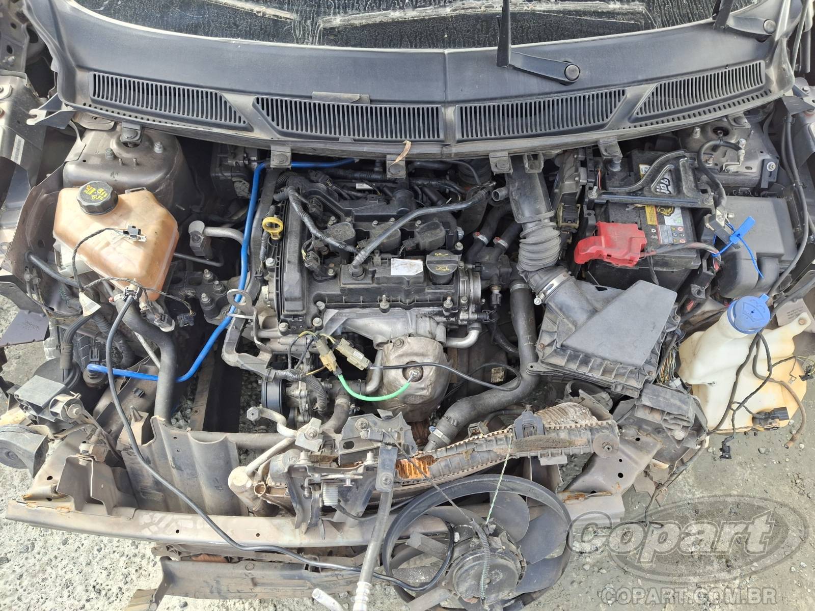 Foto 7 de 12: 2019 FORD KA