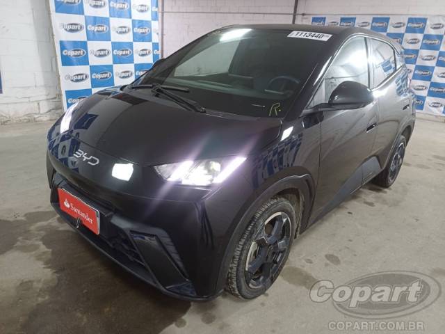 2025 BYD DOLPHIN MINI 