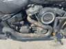 2019 HARLEY-DAVIDSON SOFTAIL 