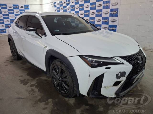 2019 LEXUS UX 