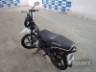2025 HONDA POP 