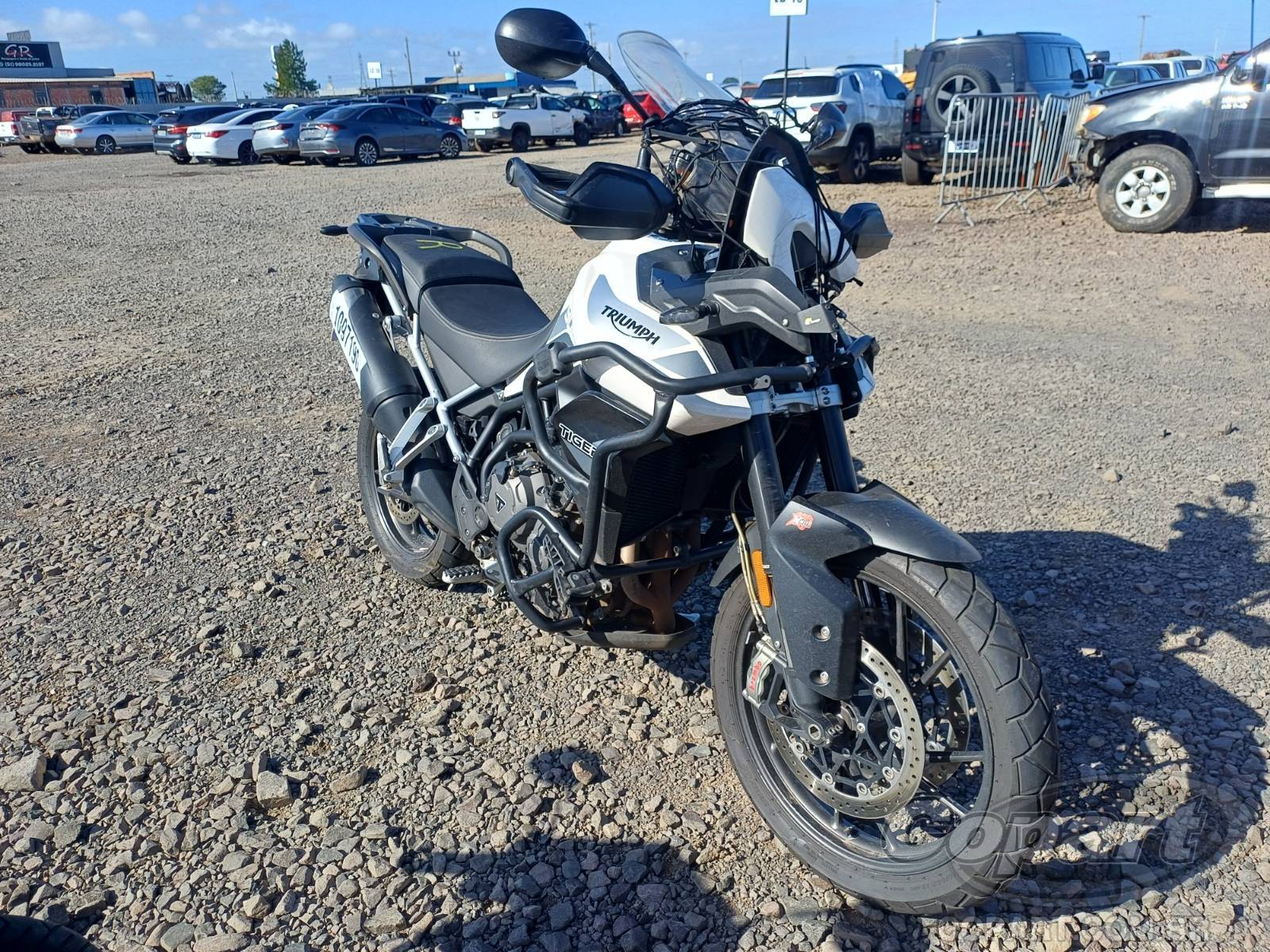 TRIUMPH Tiger 2021