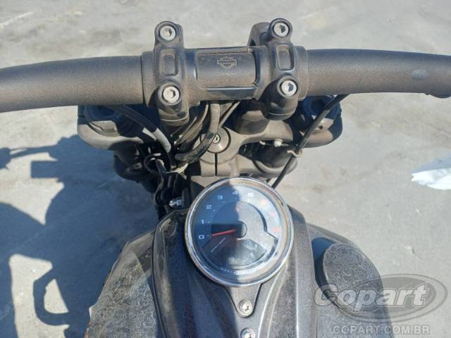 2019 HARLEY-DAVIDSON SOFTAIL 